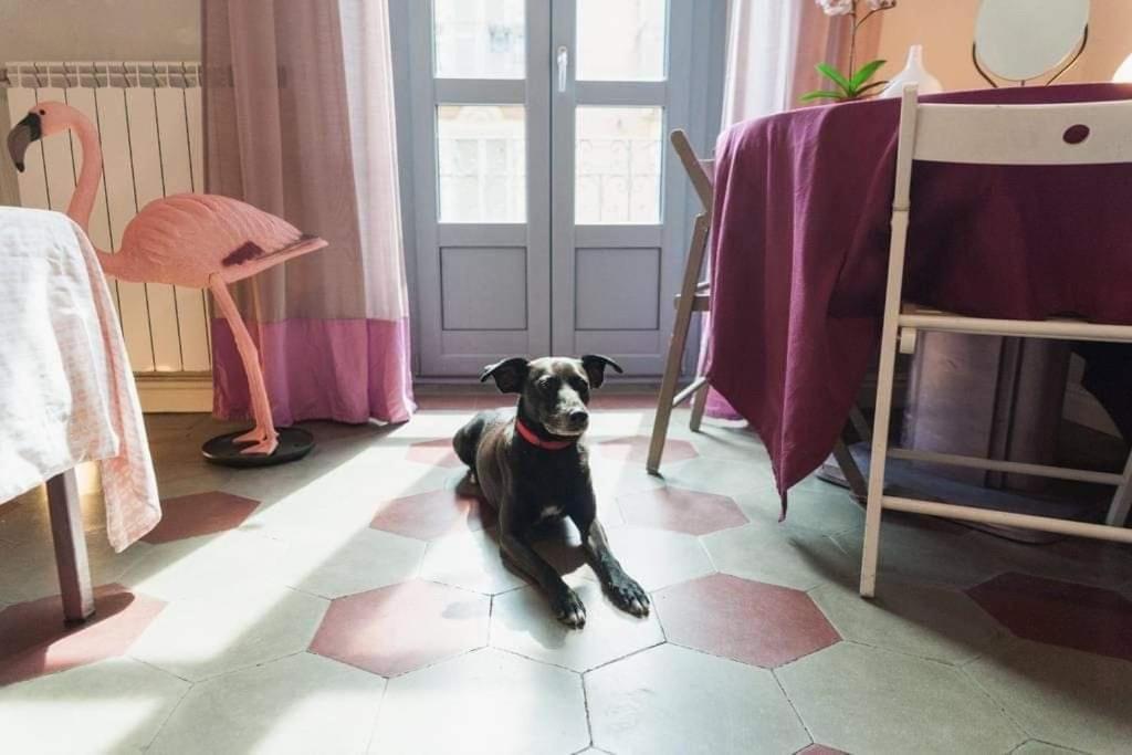 Casa Dani&Swing Bed&Books Bed & Breakfast Turin Ngoại thất bức ảnh